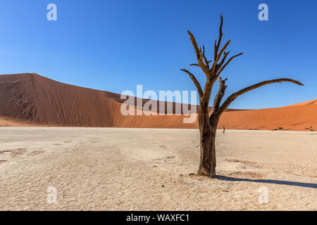 Nature, Landscape, Namibia, Namib, Dersert, Namib Desert, Dune, Red Dune, Sossusvlei, 30077659 Stock Photo