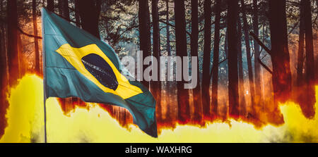 Raging pinewood forest fire with Brazilian flag on foreground - Amazon burning concept Stock Photo