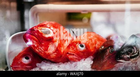 Kinmedai Or Golden Eye Snapper On Ice One Of Popular Fish For Making  Sashimi Japanese Delicacy Of Very Fresh Raw Fish Sliced Into Thin Pieces  Stock Photo - Download Image Now - iStock
