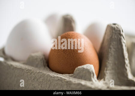 Brown and white hens eggs in a cardboard carton Stock Photo