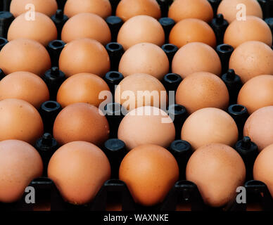Brown Chicken eggs in black plastic box close up side view shot - Organic Farm fresh product Stock Photo