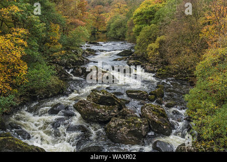 Afon (River) Llugwy in autumn near Capel Curig Snowdonia National Park North Wales UK October 2018 Stock Photo