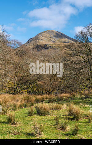 Moelwyn Mawr mountain viewed through woodland near the village of Croesor Snowdonia National Park UK March 8069 Stock Photo