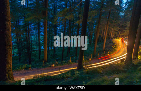 Curving light trails through a wooded road in himalayas Stock Photo