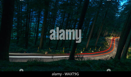 Curving light trails through a wooded road in himalayas Stock Photo