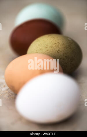 Artistic image of various coloured hens eggs on a marble surface. Stock Photo