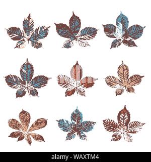 Set of Vector color chestnut Leaves print. Stock Vector