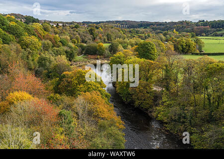 River Dee in autumn looking east from Pont Cysyllte Aqueduct with Ty Mawr country park on left and the railway viaduct in background North Wales UK Stock Photo