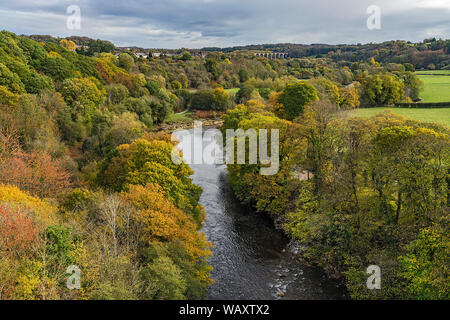 River Dee in autumn looking east from Pont Cysyllte Aqueduct with Ty Mawr country park on left and the railway viaduct in background North Wales UK Stock Photo