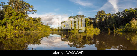 Panoramic view of Coati Lagoon near the Javari River, the tributary of the Amazon River, Amazonia. Selva on the border of Brazil and Peru. South Ameri Stock Photo