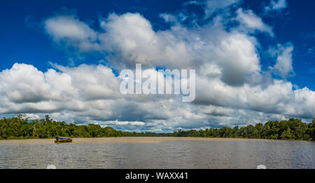 Panoramic view of Coati Lagoon near the Javari River, the tributary of the Amazon River, Amazonia. Selva on the border of Brazil and Peru. South Ameri Stock Photo