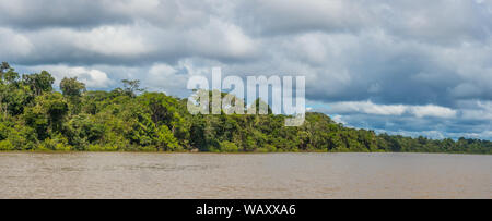 Panoramic view of Coati Lagoon near the Javari River, the tributary of the Amazon River, Amazonia. Selva on the border of Brazil and Peru. South Ameri Stock Photo