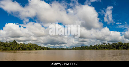 Panoramic view of Coati Lagoon near the Javari River, the tributary of the Amazon River, Amazonia. Selva on the border of Brazil and Peru. South Ameri Stock Photo