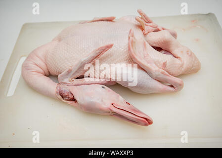 Roasted duck, gill duck, Chinese food Stock Photo