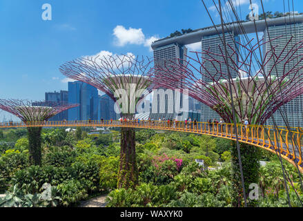 The OCBC Skyway, an aerial walkway in the Supertree Grove, looking towards Marina Bay Sands, Gardens by the Bay, Singapore City, Singapore Stock Photo