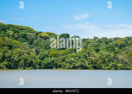 Lagoa da Mata, beautiful lagoon surrounded by preserved Atlantic Forest on Itamaraca island, Brazil Stock Photo