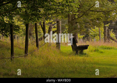An abstract photograph of a bench among long grass and trees, on the Haddo Estate, Aberdeenshire, Scotland Stock Photo