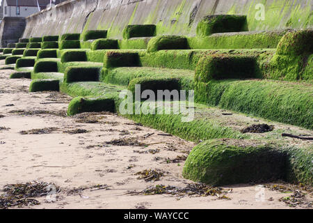 Sea Defense wall on the beach at Eyemouth, a small town and civil parish in Berwickshire, Scotland Stock Photo