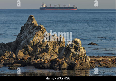 A transport ship is viewed from the cliffs at Shore Acres State Park on Cape Arago, near Charleston, Oregon, in the Coos Bay area Stock Photo