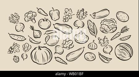 Many hand-drawn vegetables. Food sketch vector illustration Stock Vector