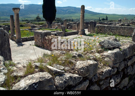 Volubilis Morocco, view over ruins to fields in distance Stock Photo