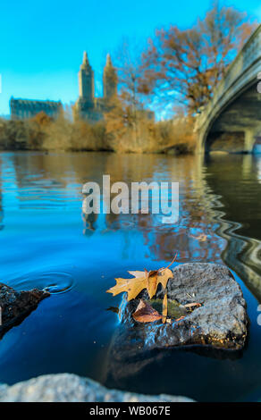 Romantic Bow Bridge over the Lake in Central Park, New York in the fall with Manhattan buildings in the background and fallen leaves in the foreground Stock Photo