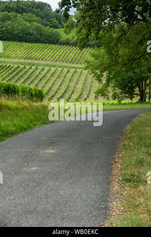 vineyards of the famous region of monbazillac, perigord. France Stock Photo