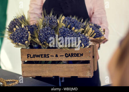 A lot of fresh purple lavender flower in wooden box for sell Stock Photo