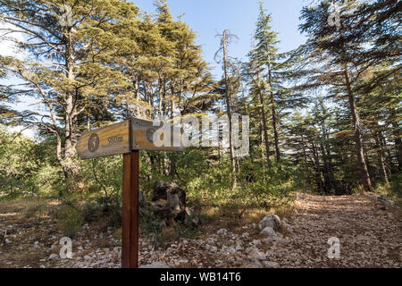 Hiking trails signpost in Tannourine Cedar Forest Nature Reserve, Lebanon Stock Photo