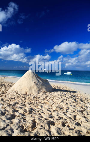 Shark Sand Sculpture on 7 Mile Beach, Grand Cayman Stock Photo