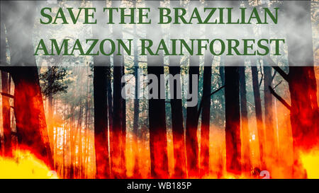 Raging pinewood forest fire with caption to save the Brazilian Amazon Rainforest from destruction Stock Photo