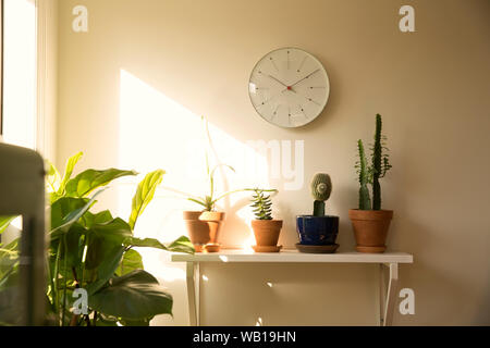 Wall clock and potted plants on shelf in a living room Stock Photo