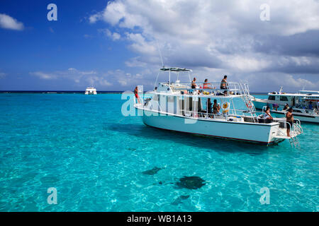 Tourists enjoy a day out with the stingrays at Stingray City in the Cayman Islands Stock Photo