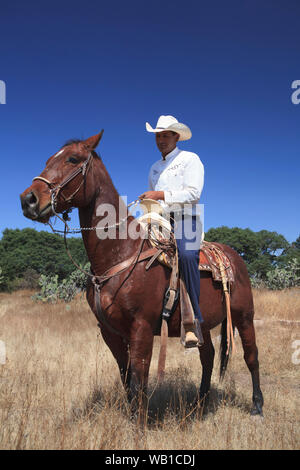 A Mexican cowboy riding his horse around a ranch in rural Mexico Stock Photo
