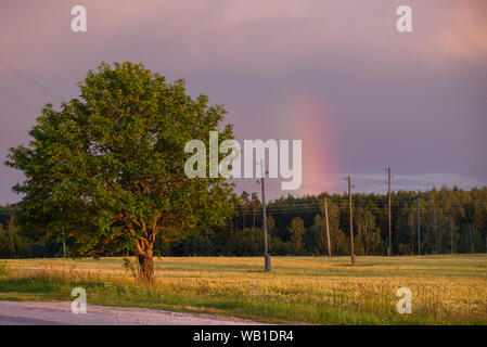 Vertical rainbow over purple sky above grain field near countryside road. Stock Photo