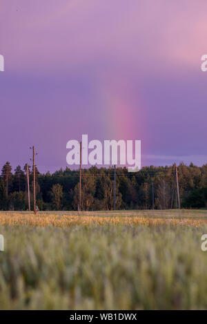 Vertical rainbow over purple sky above grain field near countryside road. Stock Photo