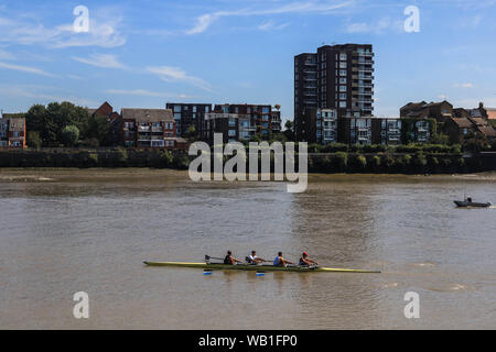 Putney, London, UK. 23rd August 2019.  Rowers enjoying  the sunshine on the River  Thames  at low tide as hot temperatures are forecast for the bank holiday weekend Credit: amer ghazzal/Alamy Live News