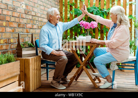 cheerful senior couple giving high five while sitting near pink flowers on terrace Stock Photo