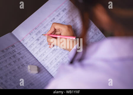 Indian young girl student studying hindi language at home. Background concept for girl child education,education loan, teachers day. Stock Photo