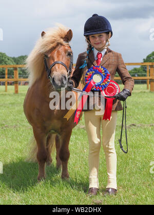 A shetland pony winning a champion prize at a show with its child hander. Stock Photo