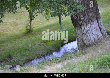A rivulet crossing orchards in the Nuratau mountains, Central Uzbekistan Stock Photo