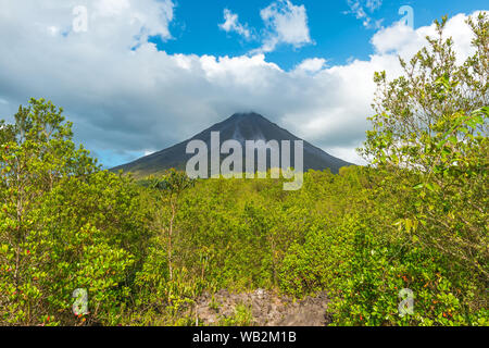 Lush vegetation landscape inside the Arenal volcano national park near San Jose, Costa Rica, Central America. Stock Photo