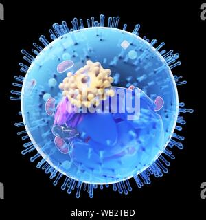 Animal Cell Computer Rendering Animal cell, computer illustration Stock Photo - Alamy