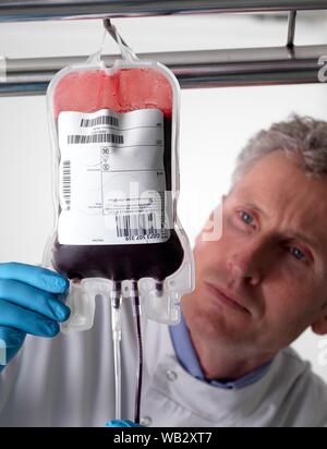 Donor blood processing. The donor blood is being separated into its component parts. Stock Photo