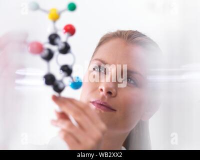 Chemistry research, conceptual image. Scientist using a molecular model to understand a chemical formula. Stock Photo