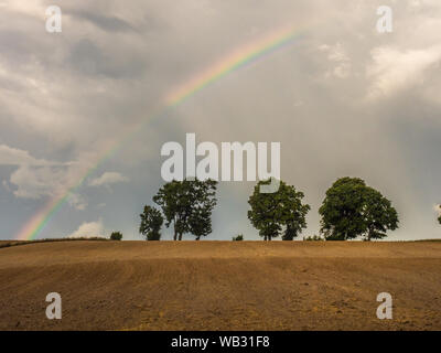 A rainbow over a line of trees on a hill in a plowed field Warmia and Masuria. Poland Stock Photo