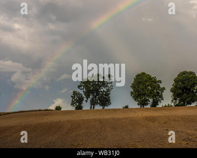 A rainbow over a line of trees on a hill in a plowed field Warmia and Masuria. Poland Stock Photo