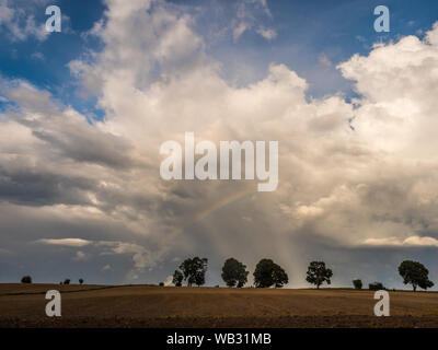 A rainbow over a line of trees on a hill in a plowed field Warmia and Masuria. Poland Stock Photo