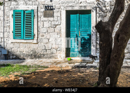A stray black and white cat walks across the doorstep past teal colored doors and shutters in the medieval walled city of Kotor, Montenegro Stock Photo