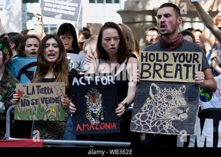 London, UK. 23rd Aug, 2019. Environmental activists are seen shouting slogans outside the Brazilian embassy in London. Extinction Rebellion environmental activists gathered outside the Brazilian embassy in London to raise awareness of fires that are devastating the Amazon. They demand international pressure from the G7 to force the Bolsonaro government to control the fires and guarantee the amazon rainforest protection and indigenous lives. Credit: SOPA Images Limited/Alamy Live News Stock Photo